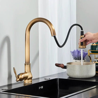 Antique brass kitchen faucet with pull down spout