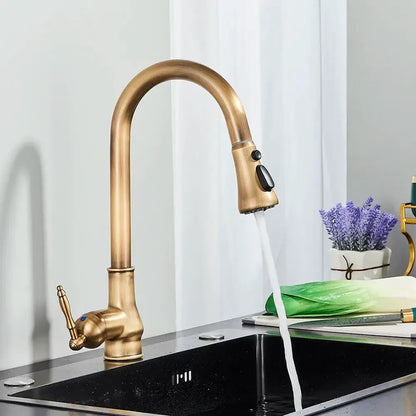 Antique brass kitchen faucet with pull down spout