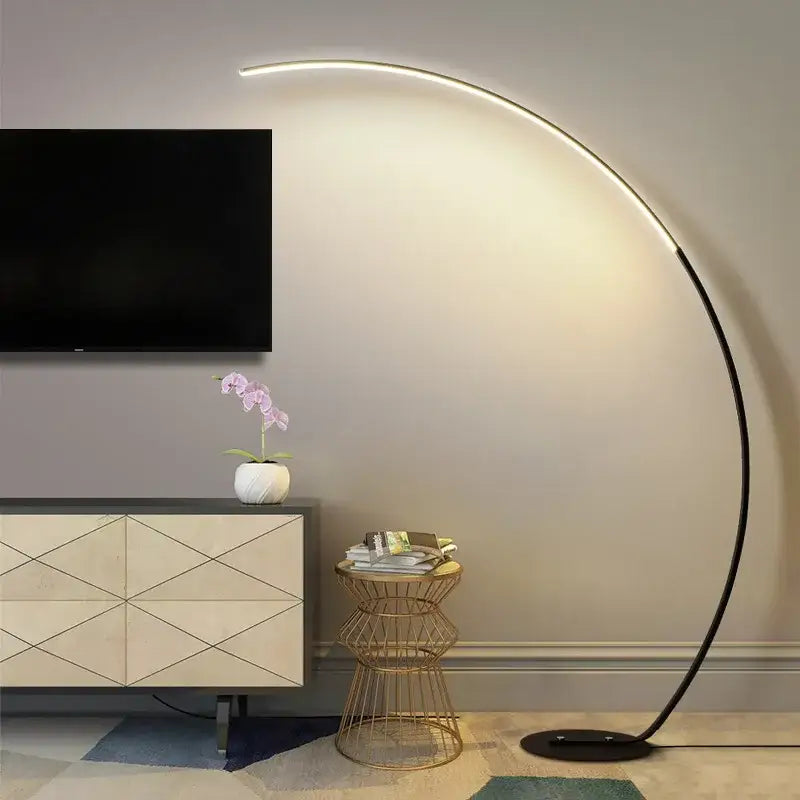 Modern black rgb arc floor lamp for living room led lighting