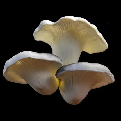 Realistic fan shaped pale artificial mushroom fungus garden tree decor