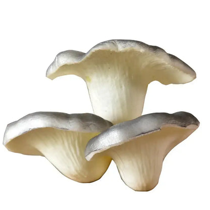 Realistic fan shaped pale artificial mushroom fungus garden tree decor