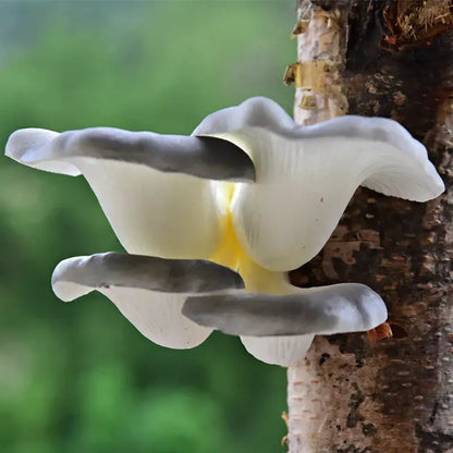 Realistic fan shaped pale artificial mushroom fungus garden tree decor