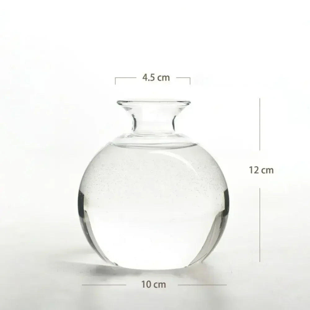 DecorBites™ Avocado Seed Starter Hydroponic Vase