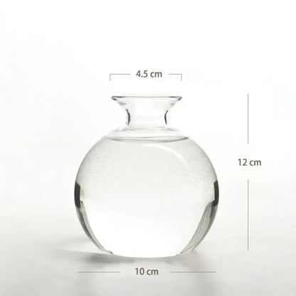DecorBites™ Avocado Seed Starter Hydroponic Vase