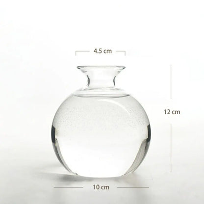DecorBites™ Avocado Seed Starter Hydroponic Vase