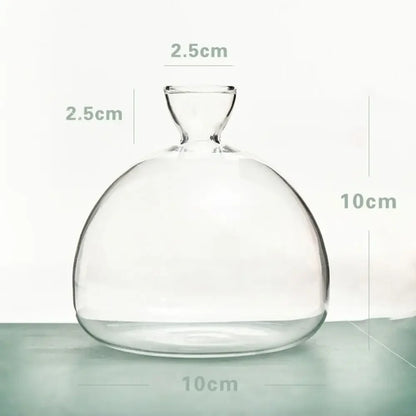 DecorBites™ Avocado Seed Starter Hydroponic Vase