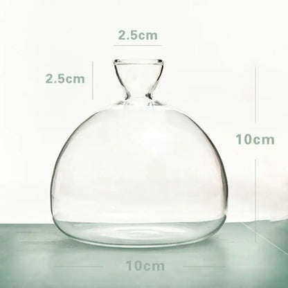 DecorBites™ Avocado Seed Starter Hydroponic Vase