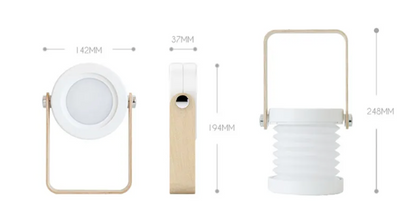 DecorBites™ Battery-Operated Wall Sconce Lantern by Abel