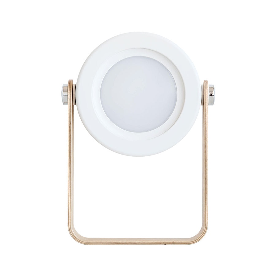 DecorBites™ Battery-Operated Wall Sconce Lantern by Abel