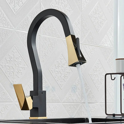Modern black & gold kitchen faucet with flexible pull down sprayer