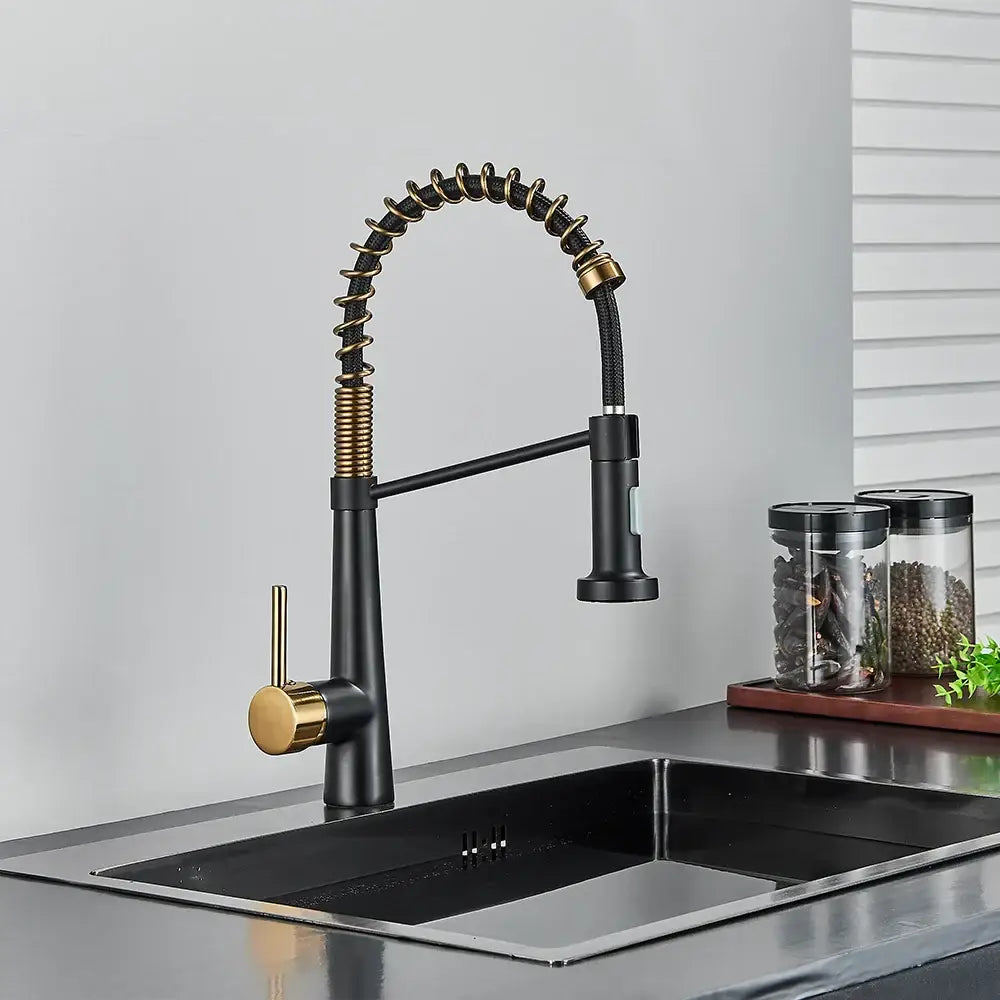Modern black & gold kitchen faucet with coiled pull down sprayer