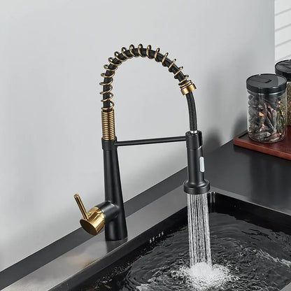 Modern black & gold kitchen faucet with coiled pull down sprayer