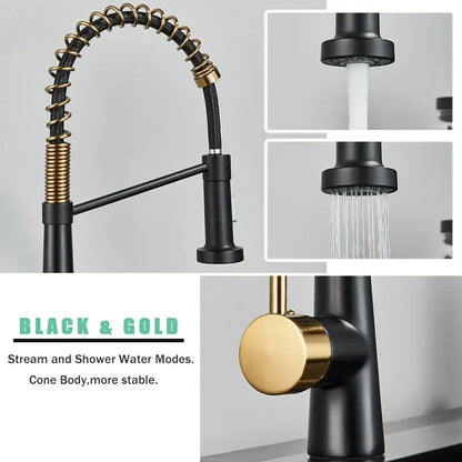 Modern black & gold kitchen faucet with coiled pull down sprayer
