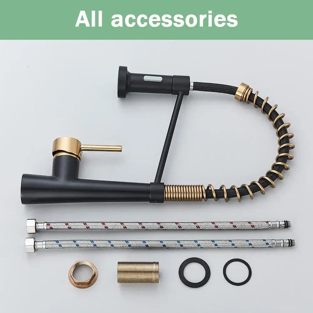 Modern black & gold kitchen faucet with coiled pull down sprayer