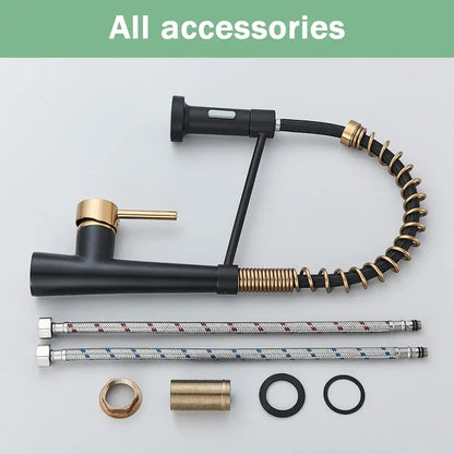 Modern black & gold kitchen faucet with coiled pull down sprayer