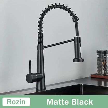 Modern black & gold kitchen faucet with coiled pull down sprayer