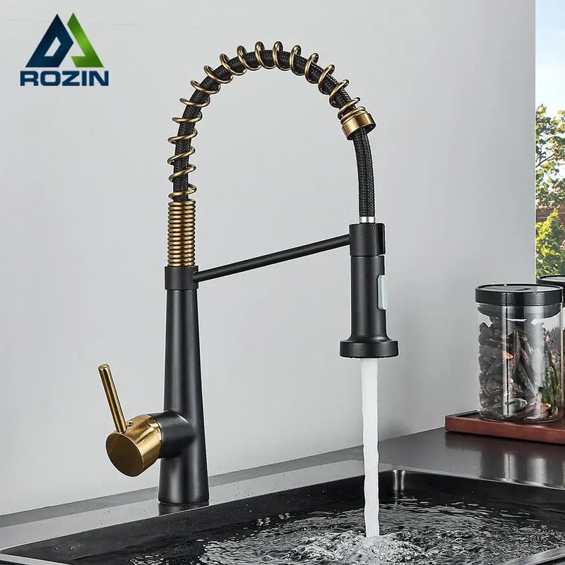 Modern black & gold kitchen faucet with coiled pull down sprayer