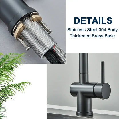 Modern matte black gourmet kitchen faucet with dual sprayer nozzle