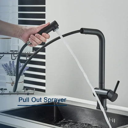 Modern matte black gourmet kitchen faucet with dual sprayer nozzle