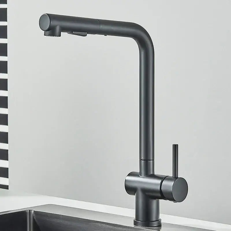 Modern matte black gourmet kitchen faucet with dual sprayer nozzle