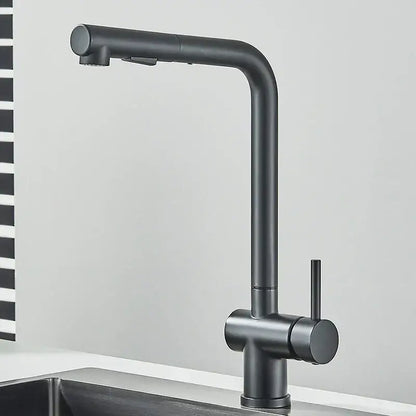 Modern matte black gourmet kitchen faucet with dual sprayer nozzle