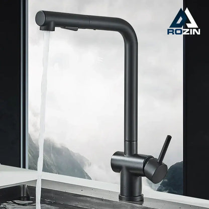 Modern matte black gourmet kitchen faucet with dual sprayer nozzle