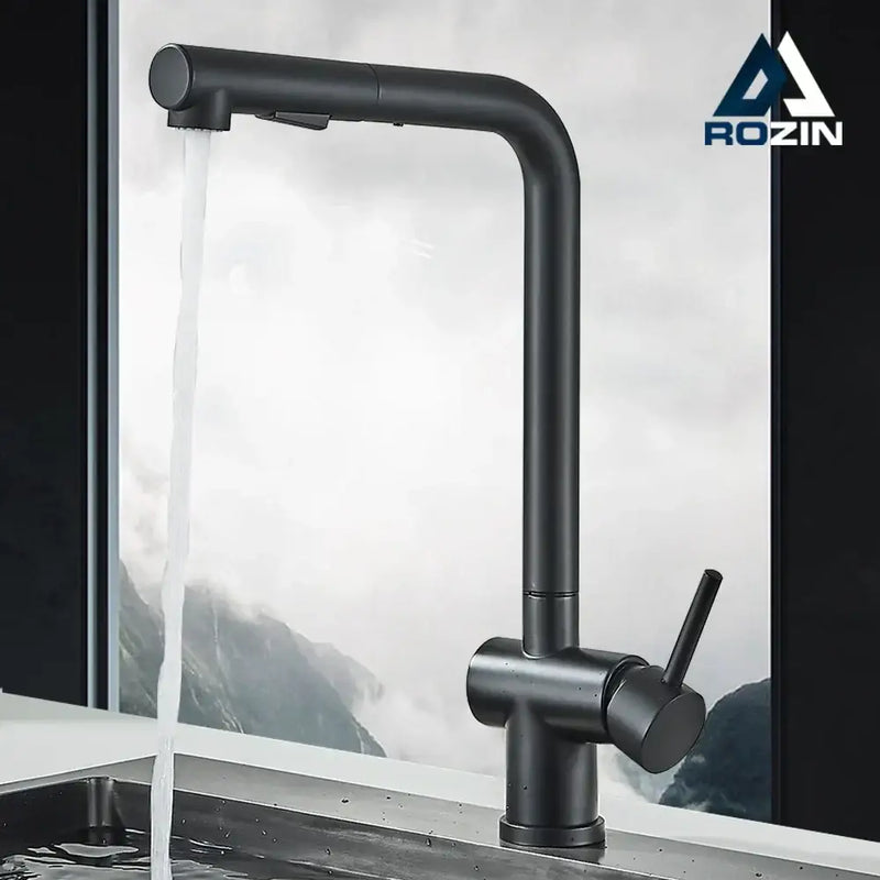 Modern matte black gourmet kitchen faucet with dual sprayer nozzle