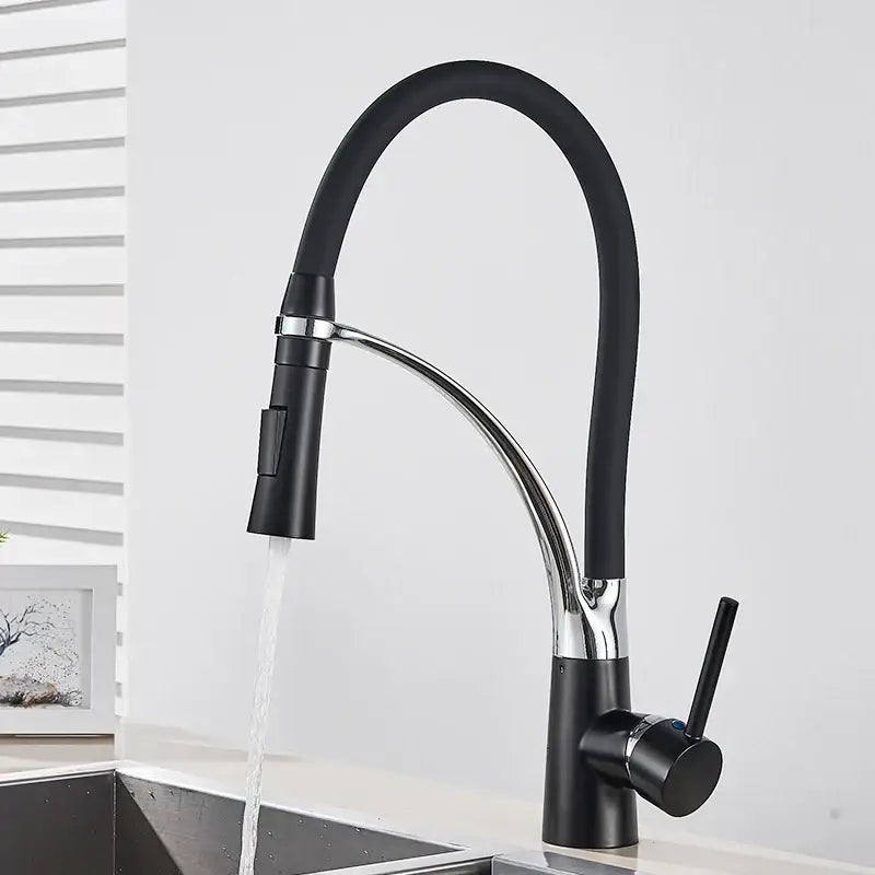 Chrome and black hose kitchen faucet with pull down sprayer