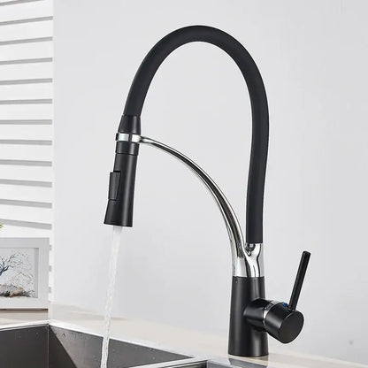 Chrome and black hose kitchen faucet with pull down sprayer