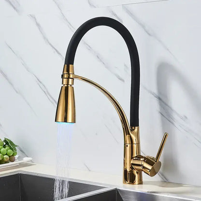 Chrome and black hose kitchen faucet with pull down sprayer