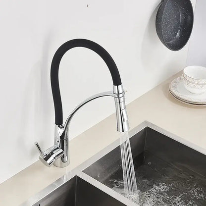 Chrome and black hose kitchen faucet with pull down sprayer