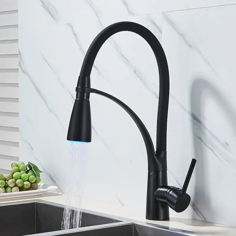 Chrome and black hose kitchen faucet with pull down sprayer