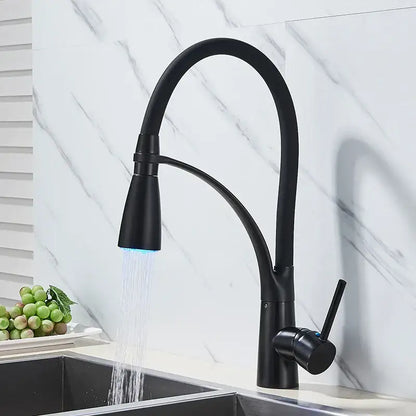 Chrome and black hose kitchen faucet with pull down sprayer