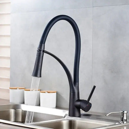 Chrome and black flexible kitchen mixer tap with pull out sprayer