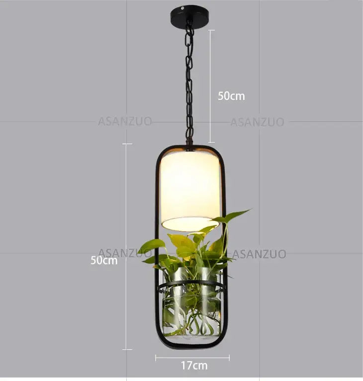 Industrial black iron cage pendant light with plant holder dining room