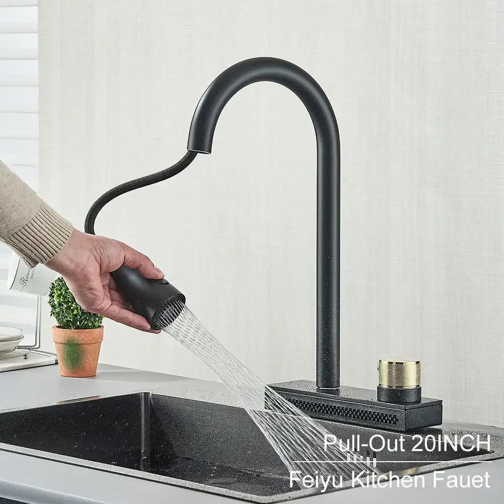 Matte black & gold kitchen faucet with pull down sprayer