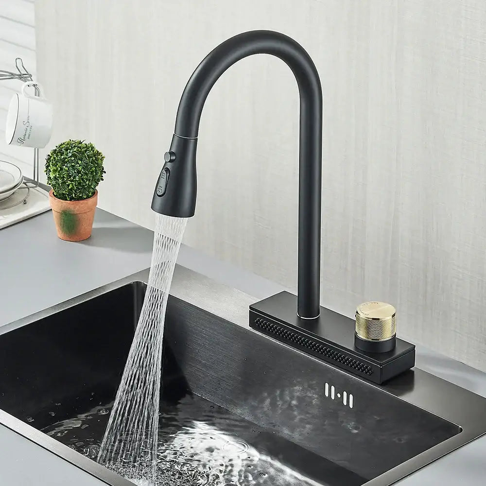 Matte black & gold kitchen faucet with pull down sprayer