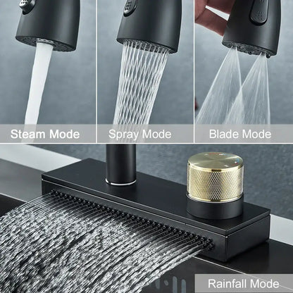 Matte black & gold kitchen faucet with pull down sprayer