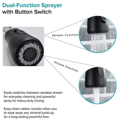 Modern matte black kitchen faucet with pull down spray head