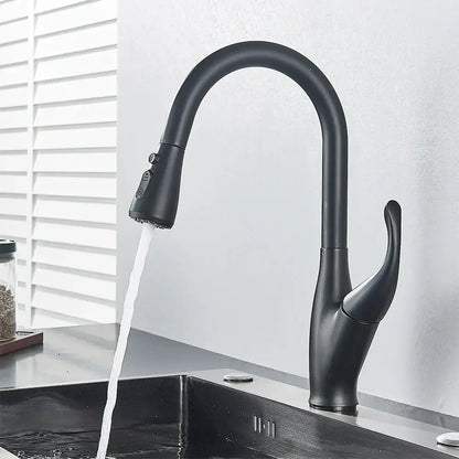 Matte black kitchen faucet with pull down spray head