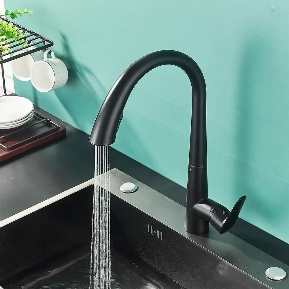 Matte black single handle kitchen faucet with curved spout