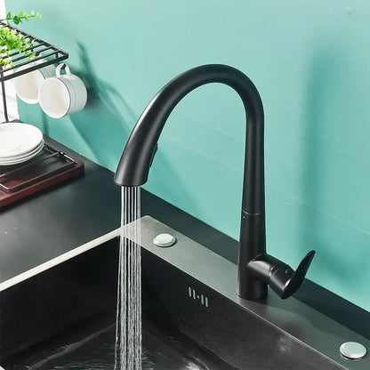 Matte black single handle kitchen faucet with curved spout