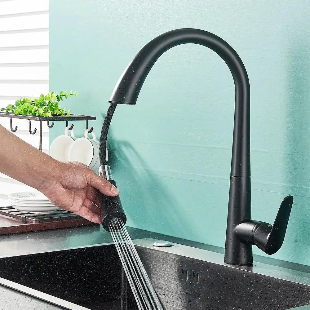 Matte black single handle kitchen faucet with curved spout