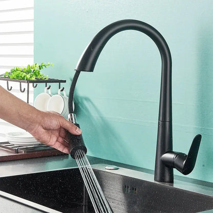 Matte black single handle kitchen faucet with curved spout