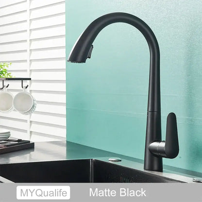 Matte black single handle kitchen faucet with curved spout