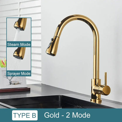 Matte black kitchen faucet with pull down spray head