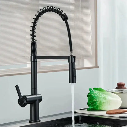 Matte black kitchen faucet with coiled pull down sprayer
