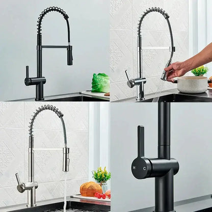 Matte black kitchen faucet with coiled pull down sprayer