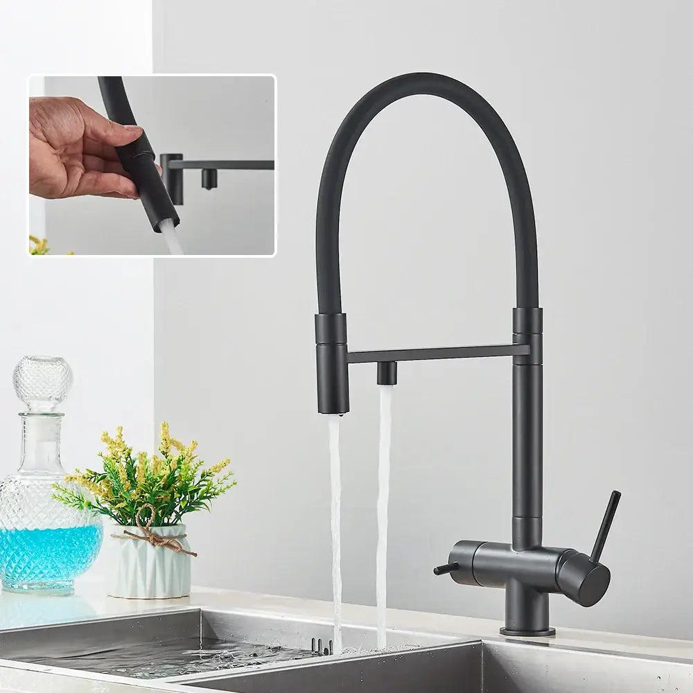 Matte black kitchen faucet with purifier and dual handles