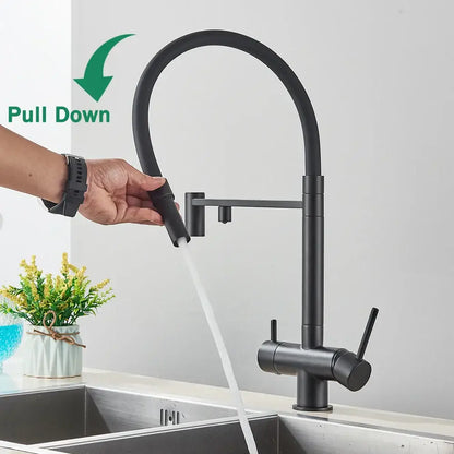 Matte black kitchen faucet with purifier and dual handles